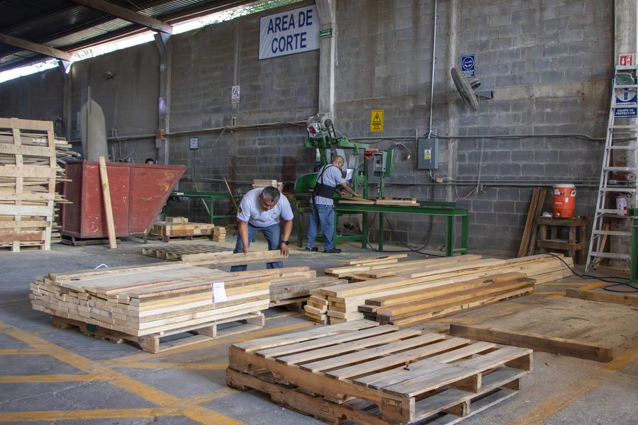 Área de producción